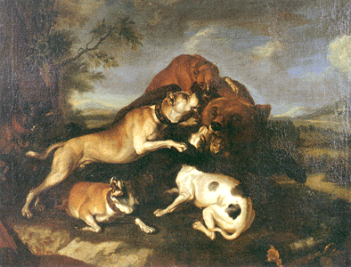 Pitbulleja metsästämässä vuonna 1650 - tässä vanhassa maalauksessa näkee miktä bulldoggit näyttivät 400 vuotta sitten, samalta kuin pitbullit nyt!