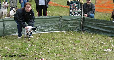 IMG_1177