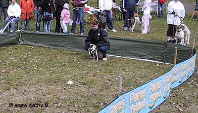 IMG_5224
