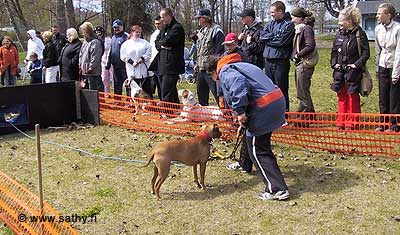 IMG_5285
