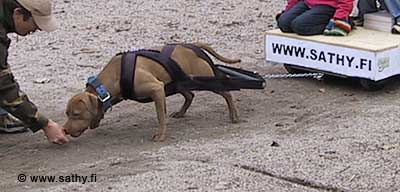 IMG_5367