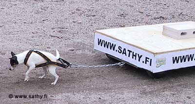 IMG_53831