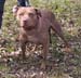 IMG_52391