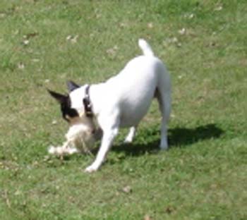 DSC00056
