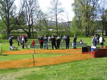 Kevatkinkerit 002