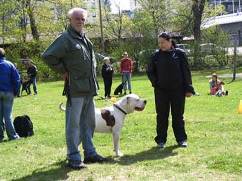 Kevatkinkerit 051