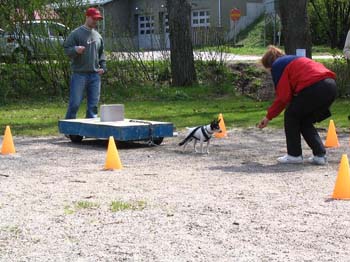 Kevatkinkerit 086