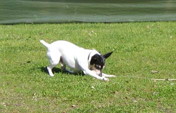 Picture 004