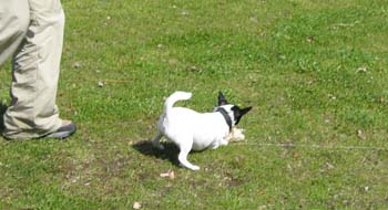 Picture 006