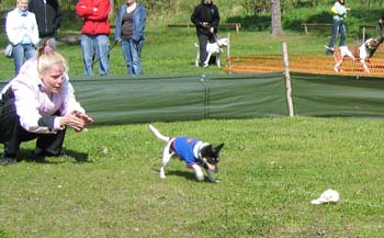 Picture 013