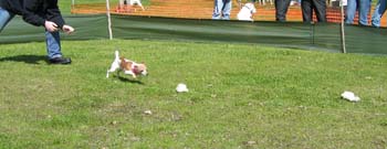 Picture 014