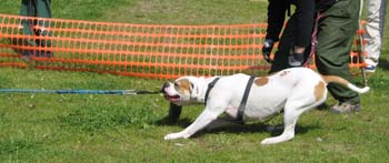 Picture 028