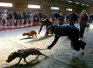 Liity j&auml;seneksi